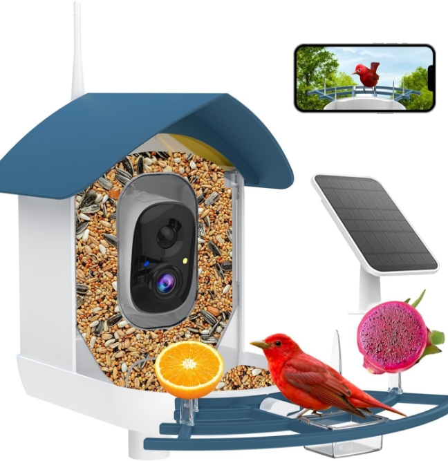 71faS6HlT2L._AC_SL1500_