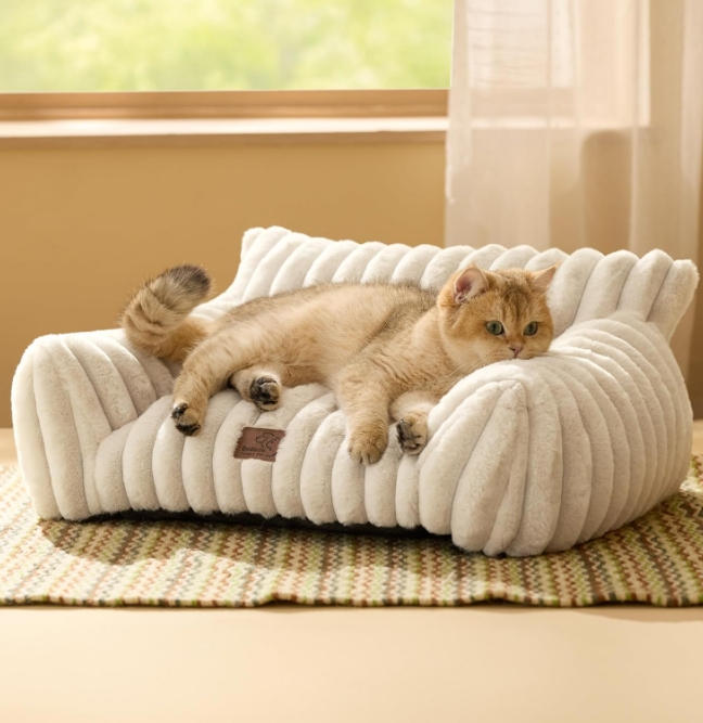 81Fi6aO+p2L._AC_SL1500_