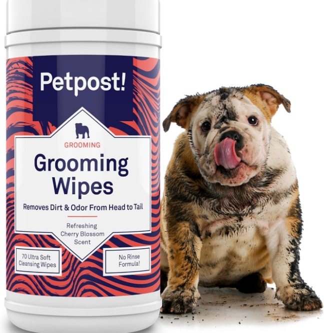 81LyqwhM+mL._AC_SL1500_